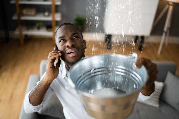 Best Water damage restoration mold remediation  in Gonzales, TX
