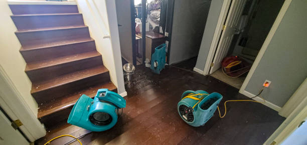 Best Ceiling water damage repair  in Gonzales, TX