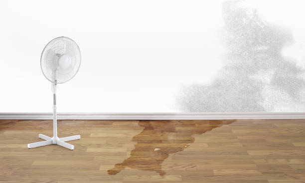 Best Water damage restoration near me  in Gonzales, TX