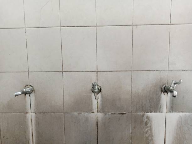Best 24-hour water damage restoration  in Gonzales, TX