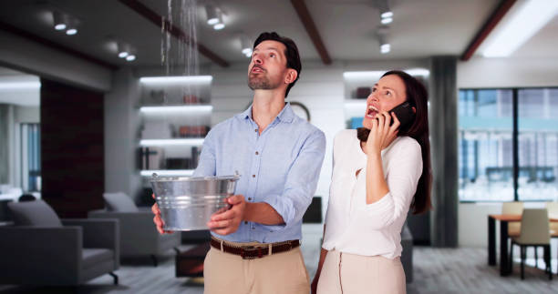 Best Water damage cleanup near me  in Gonzales, TX